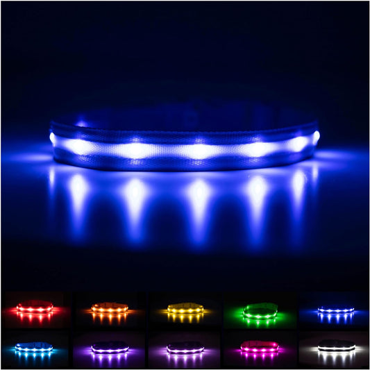 BLAZIN Brightest Light up Dog Collars - the Original LED Dog Collar with 1,000 Feet of Visibility - USB Rechargeable Waterproof Dog Collar Light - Dog Lights for Night Walking - USA Brand